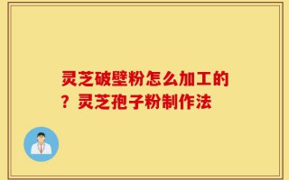 灵芝破壁粉怎么加工的？灵芝孢子粉制作法