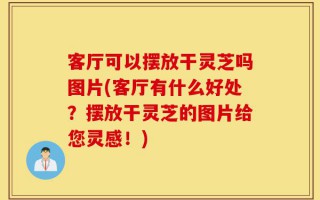 客厅可以摆放干灵芝吗图片(客厅有什么好处？摆放干灵芝的图片给您灵感！)