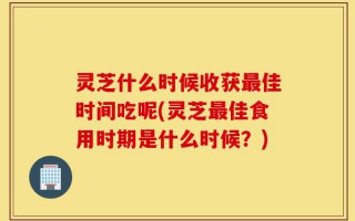 灵芝什么时候收获最佳时间吃呢(灵芝最佳食用时期是什么时候？)