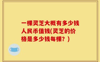 一棵灵芝大概有多少钱人民币值钱(灵芝的价格是多少钱每棵？)