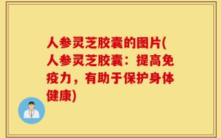 人参灵芝胶囊的图片(人参灵芝胶囊：提高免疫力，有助于保护身体健康)