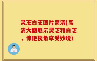 灵芝白芝图片高清(高清大图展示灵芝和白芝，惊艳视角享受妙境)