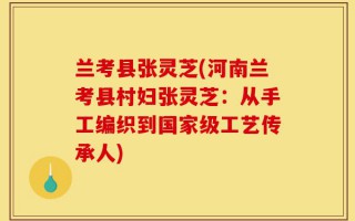 兰考县张灵芝(河南兰考县村妇张灵芝：从手工编织到国家级工艺传承人)