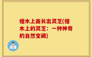 檀木上面长出灵芝(檀木上的灵芝：一种神奇的自然宝藏)