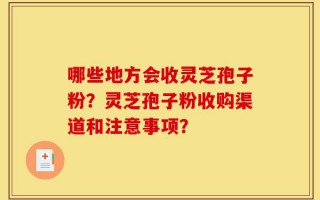 哪些地方会收灵芝孢子粉？灵芝孢子粉收购渠道和注意事项？