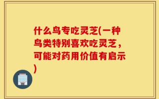 什么鸟专吃灵芝(一种鸟类特别喜欢吃灵芝，可能对药用价值有启示)