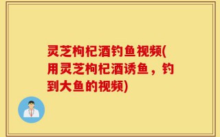 灵芝枸杞酒钓鱼视频(用灵芝枸杞酒诱鱼，钓到大鱼的视频)