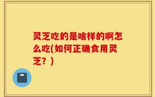 灵芝吃的是啥样的啊怎么吃(如何正确食用灵芝？)