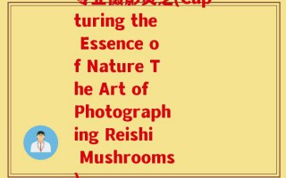 专业摄影灵芝(Capturing the Essence of Nature The Art of Photographing Reishi Mushrooms)