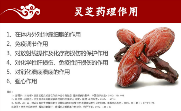 灵芝孢子粉的功效与作用有哪些 揭秘四大常见灵芝孢子粉的功效-第1张图片-灵芝之家