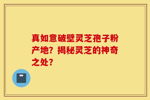 真如意破壁灵芝孢子粉产地？揭秘灵芝的神奇之处？-第1张图片-灵芝之家