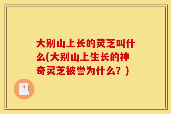 大别山上长的灵芝叫什么(大别山上生长的神奇灵芝被誉为什么?)-第1张图片-灵芝之家 大别山上长的灵芝叫什么(大别山上生长的神奇灵芝被誉为什么?)-第1张图片-灵芝之家