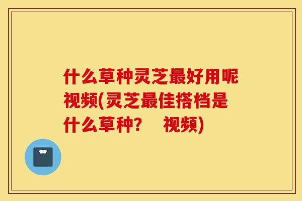 什么草种灵芝最好用呢视频(灵芝最佳搭档是什么草种? 视频)-第1张图片-灵芝之家 什么草种灵芝最好用呢视频(灵芝最佳搭档是什么草种? 视频)-第1张图片-灵芝之家