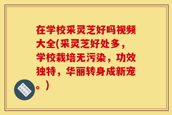 在学校采灵芝好吗视频大全(采灵芝好处多，学校栽培无污染，功效独特，华丽转身成新宠。)-第1张图片-灵芝之家