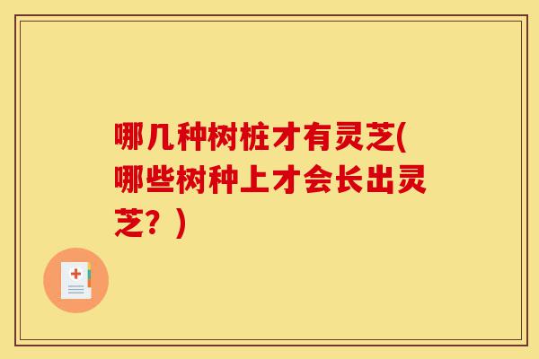 哪几种树桩才有灵芝(哪些树种上才会长出灵芝?)-第1张图片-灵芝之家 哪几种树桩才有灵芝(哪些树种上才会长出灵芝?)-第1张图片-灵芝之家