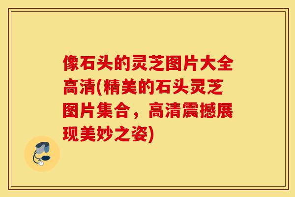 像石头的灵芝图片大全高清(精美的石头灵芝图片集合,高清震撼展现美妙之姿)-第1张图片-灵芝之家 像石头的灵芝图片大全高清(精美的石头灵芝图片集合,高清震撼展现美妙之姿)-第1张图片-灵芝之家
