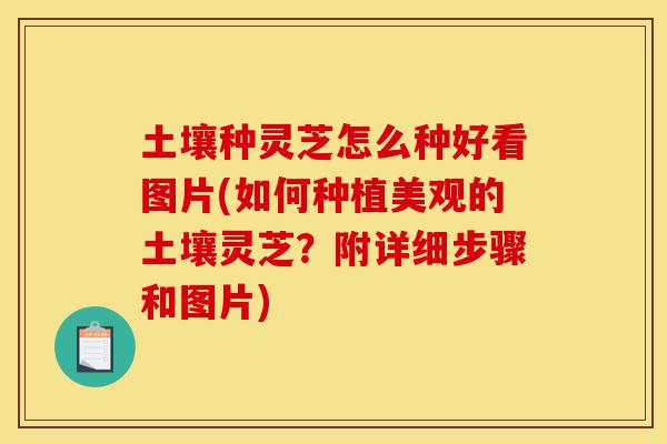 土壤种灵芝怎么种好看图片(如何种植美观的土壤灵芝?附详细步骤和图片)-第1张图片-灵芝之家 土壤种灵芝怎么种好看图片(如何种植美观的土壤灵芝?附详细步骤和图片)-第1张图片-灵芝之家