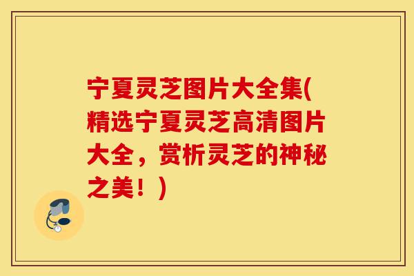 宁夏灵芝图片大全集(精选宁夏灵芝高清图片大全,赏析灵芝的神秘之美!)-第1张图片-灵芝之家 宁夏灵芝图片大全集(精选宁夏灵芝高清图片大全,赏析灵芝的神秘之美!)-第1张图片-灵芝之家