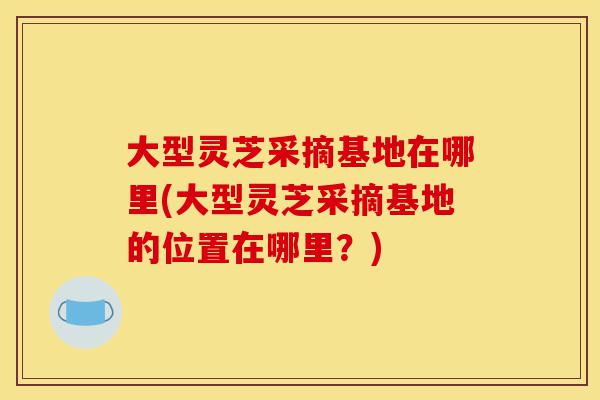 大型灵芝采摘基地在哪里(大型灵芝采摘基地的位置在哪里？)-第1张图片-灵芝之家