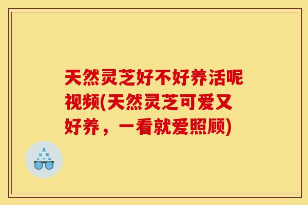 天然灵芝好不好养活呢视频(天然灵芝可爱又好养，一看就爱照顾)-第1张图片-灵芝之家