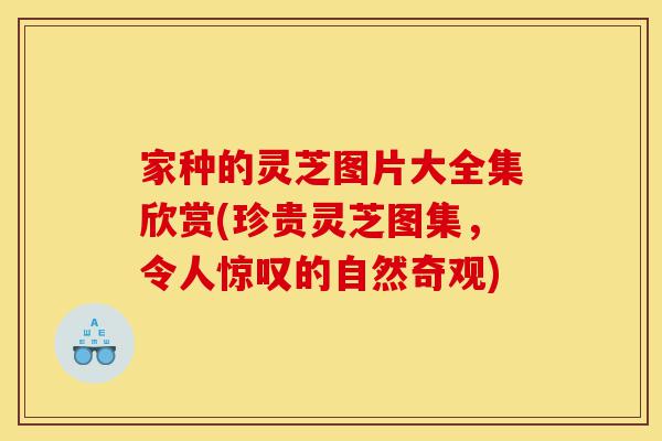 家种的灵芝图片大全集欣赏(珍贵灵芝图集,令人惊叹的自然奇观)-第1张图片-灵芝之家 家种的灵芝图片大全集欣赏(珍贵灵芝图集,令人惊叹的自然奇观)-第1张图片-灵芝之家