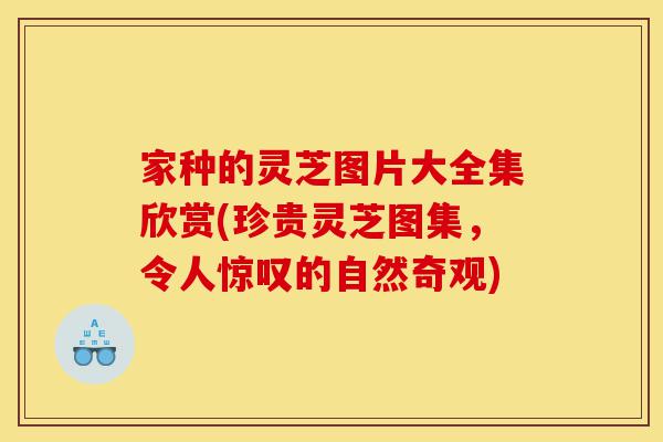 家种的灵芝图片大全集欣赏(珍贵灵芝图集，令人惊叹的自然奇观)-第1张图片-灵芝之家