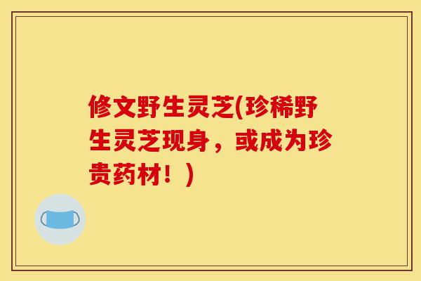 修文野生灵芝(珍稀野生灵芝现身,或成为珍贵药材!)-第1张图片-灵芝之家 修文野生灵芝(珍稀野生灵芝现身,或成为珍贵药材!)-第1张图片-灵芝之家