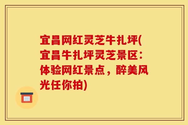 宜昌网红灵芝牛扎坪(宜昌牛扎坪灵芝景区：体验网红景点，醉美风光任你拍)-第1张图片-灵芝之家