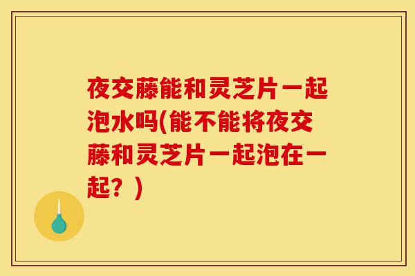 夜交藤能和灵芝片一起泡水吗(能不能将夜交藤和灵芝片一起泡在一起？)-第1张图片-灵芝之家