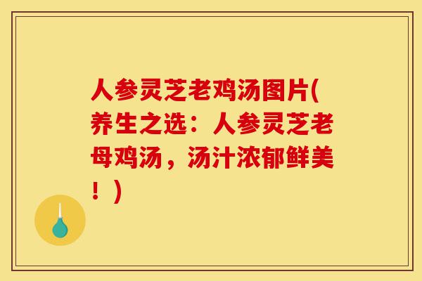 人参灵芝老鸡汤图片(养生之选:人参灵芝老母鸡汤,汤汁浓郁鲜美!)-第1张图片-灵芝之家 人参灵芝老鸡汤图片(养生之选:人参灵芝老母鸡汤,汤汁浓郁鲜美!)-第1张图片-灵芝之家