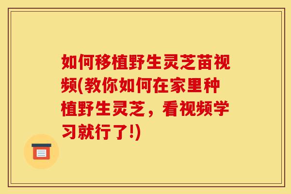 如何移植野生灵芝苗视频(教你如何在家里种植野生灵芝,看视频学习就行了!)-第1张图片-灵芝之家 如何移植野生灵芝苗视频(教你如何在家里种植野生灵芝,看视频学习就行了!)-第1张图片-灵芝之家