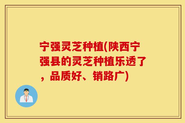 宁强灵芝种植(陕西宁强县的灵芝种植乐透了,品质好、销路广)-第1张图片-灵芝之家 宁强灵芝种植(陕西宁强县的灵芝种植乐透了,品质好、销路广)-第1张图片-灵芝之家
