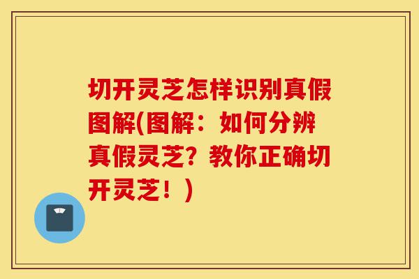切开灵芝怎样识别真假图解(图解:如何分辨真假灵芝?教你正确切开灵芝!)-第1张图片-灵芝之家 切开灵芝怎样识别真假图解(图解:如何分辨真假灵芝?教你正确切开灵芝!)-第1张图片-灵芝之家
