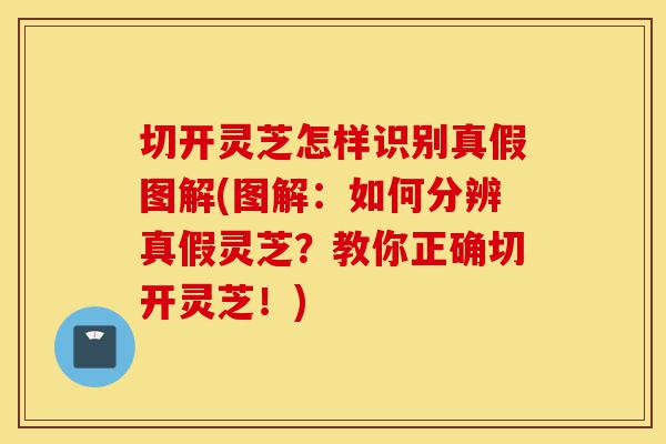 切开灵芝怎样识别真假图解(图解：如何分辨真假灵芝？教你正确切开灵芝！)-第1张图片-灵芝之家