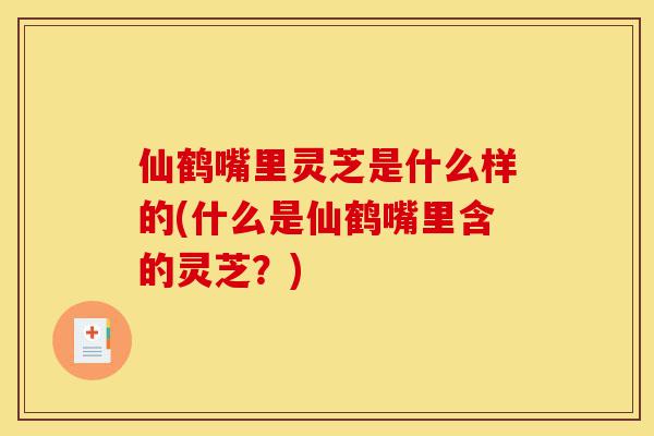 仙鹤嘴里灵芝是什么样的(什么是仙鹤嘴里含的灵芝?)-第1张图片-灵芝之家 仙鹤嘴里灵芝是什么样的(什么是仙鹤嘴里含的灵芝?)-第1张图片-灵芝之家
