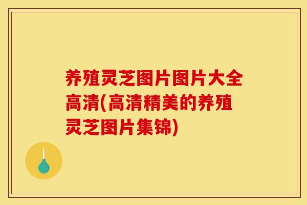养殖灵芝图片图片大全高清(高清精美的养殖灵芝图片集锦)-第1张图片-灵芝之家 养殖灵芝图片图片大全高清(高清精美的养殖灵芝图片集锦)-第1张图片-灵芝之家