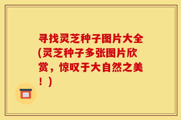 寻找灵芝种子图片大全(灵芝种子多张图片欣赏,惊叹于大自然之美!)-第1张图片-灵芝之家 寻找灵芝种子图片大全(灵芝种子多张图片欣赏,惊叹于大自然之美!)-第1张图片-灵芝之家