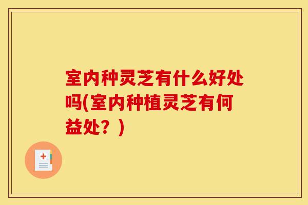 室内种灵芝有什么好处吗(室内种植灵芝有何益处?)-第1张图片-灵芝之家 室内种灵芝有什么好处吗(室内种植灵芝有何益处?)-第1张图片-灵芝之家