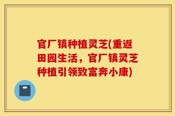 官厂镇种植灵芝(重返田园生活,官厂镇灵芝种植引领致富奔小康)-第1张图片-灵芝之家 官厂镇种植灵芝(重返田园生活,官厂镇灵芝种植引领致富奔小康)-第1张图片-灵芝之家