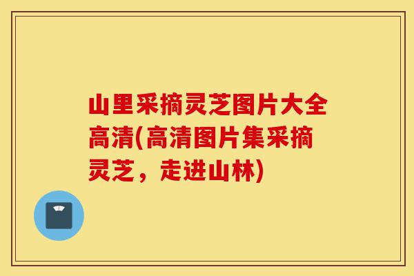 山里采摘灵芝图片大全高清(高清图片集采摘灵芝，走进山林)-第1张图片-灵芝之家