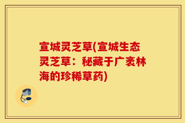 宣城灵芝草(宣城生态灵芝草:秘藏于广袤林海的珍稀草药)-第1张图片-灵芝之家 宣城灵芝草(宣城生态灵芝草:秘藏于广袤林海的珍稀草药)-第1张图片-灵芝之家
