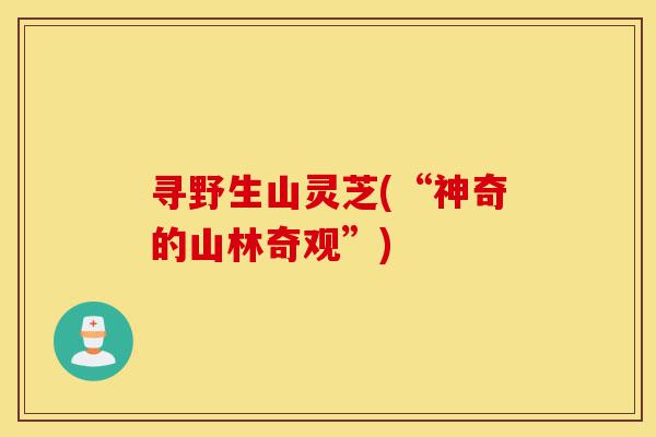 寻野生山灵芝(“神奇的山林奇观”)-第1张图片-灵芝之家 寻野生山灵芝(“神奇的山林奇观”)-第1张图片-灵芝之家