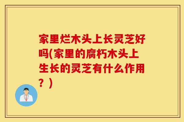 家里烂木头上长灵芝好吗(家里的腐朽木头上生长的灵芝有什么作用?)-第1张图片-灵芝之家 家里烂木头上长灵芝好吗(家里的腐朽木头上生长的灵芝有什么作用?)-第1张图片-灵芝之家