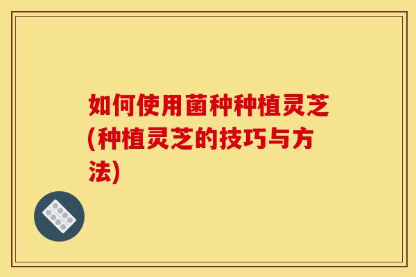 如何使用菌种种植灵芝(种植灵芝的技巧与方法)-第1张图片-灵芝之家 如何使用菌种种植灵芝(种植灵芝的技巧与方法)-第1张图片-灵芝之家
