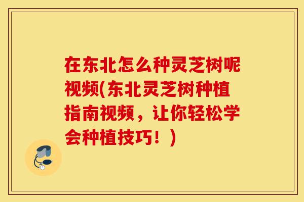 在东北怎么种灵芝树呢视频(东北灵芝树种植指南视频,让你轻松学会种植技巧!)-第1张图片-灵芝之家 在东北怎么种灵芝树呢视频(东北灵芝树种植指南视频,让你轻松学会种植技巧!)-第1张图片-灵芝之家