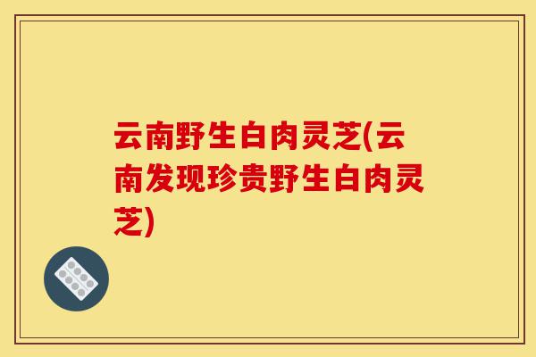 云南野生白肉灵芝(云南发现珍贵野生白肉灵芝)-第1张图片-灵芝之家