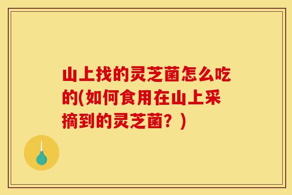 山上找的灵芝菌怎么吃的(如何食用在山上采摘到的灵芝菌?)-第1张图片-灵芝之家 山上找的灵芝菌怎么吃的(如何食用在山上采摘到的灵芝菌?)-第1张图片-灵芝之家