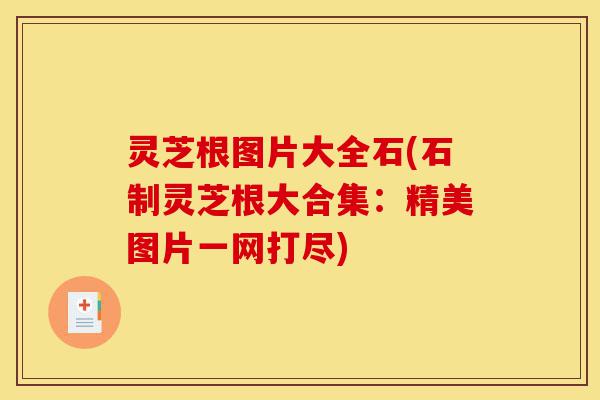 灵芝根图片大全石(石制灵芝根大合集:精美图片一网打尽)-第1张图片-灵芝之家 灵芝根图片大全石(石制灵芝根大合集:精美图片一网打尽)-第1张图片-灵芝之家