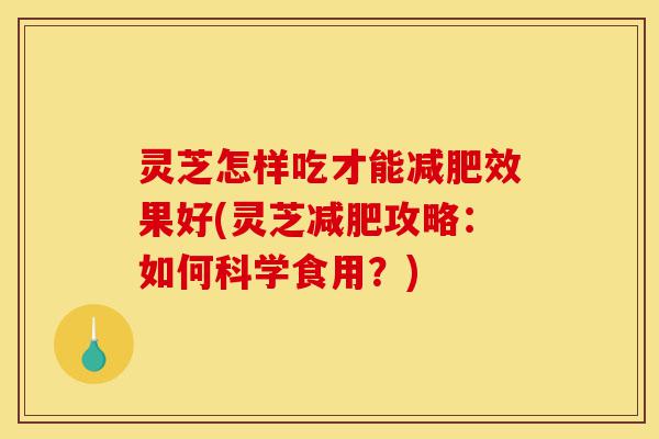 灵芝怎样吃才能减肥效果好(灵芝减肥攻略:如何科学食用?)-第1张图片-灵芝之家 灵芝怎样吃才能减肥效果好(灵芝减肥攻略:如何科学食用?)-第1张图片-灵芝之家