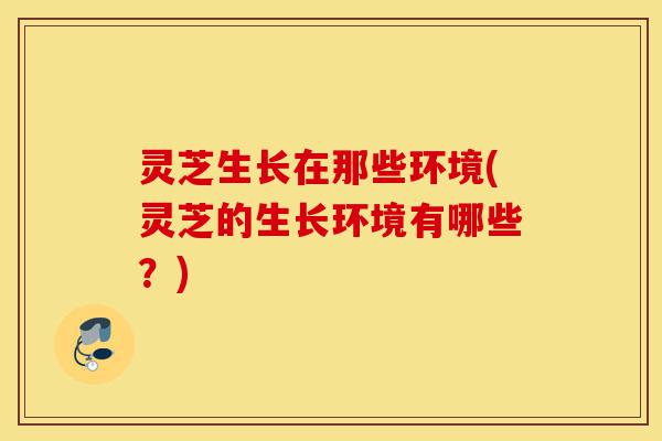 灵芝生长在那些环境(灵芝的生长环境有哪些?)-第1张图片-灵芝之家 灵芝生长在那些环境(灵芝的生长环境有哪些?)-第1张图片-灵芝之家